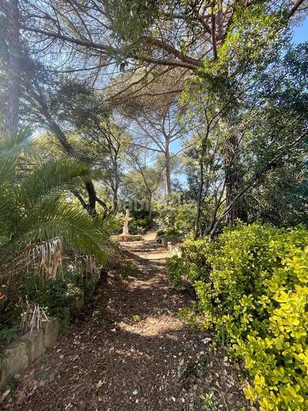 Foto 2725a659-0267-4a1a-abb5-33ee49c28d96. Casa casita en medio de un bosque en Santa Coloma de Farners