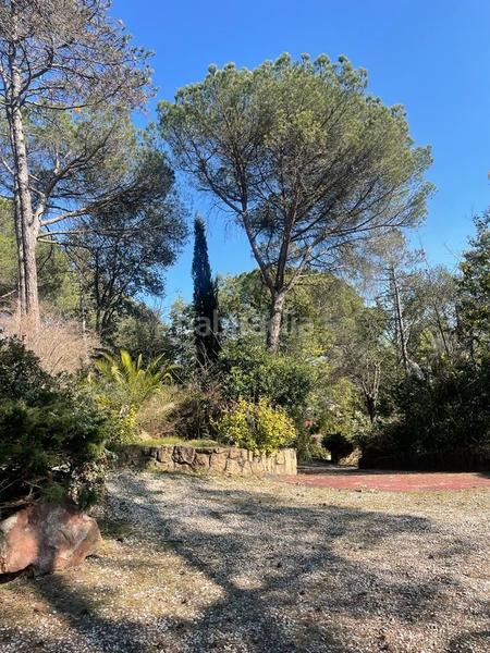 Foto 4a1eeacc-0af1-48ab-af97-e41684eaeb29. Casa casita en medio de un bosque en Santa Coloma de Farners