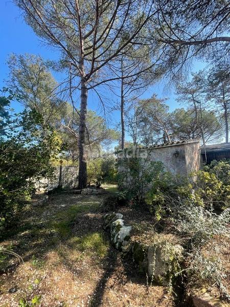 Foto 5a0e2c9a-ac6c-4409-9815-6c2c8cf5b038. Casa casita en medio de un bosque en Santa Coloma de Farners