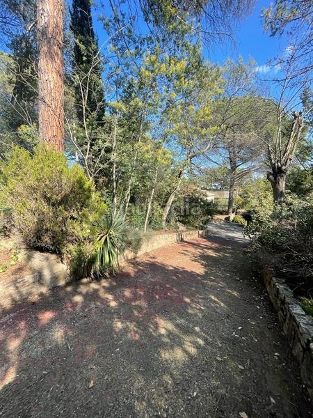 Foto 859fdc12-6181-45f8-bf16-2225b17fc61d. Casa casita en medio de un bosque en Santa Coloma de Farners