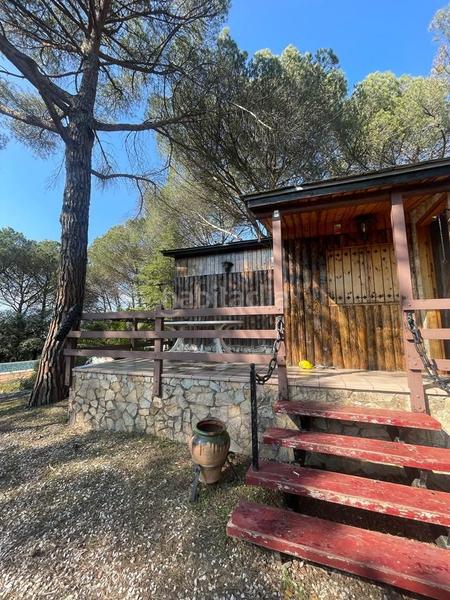 Foto 8856ee21-ee95-4514-b458-3559c459717a. Casa casita en medio de un bosque en Santa Coloma de Farners