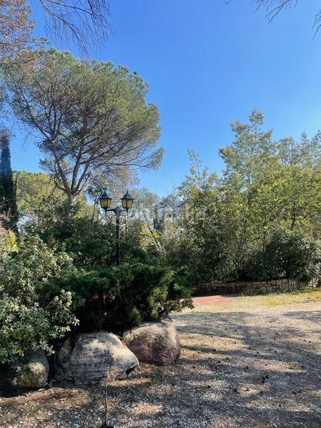 Foto 89ce645a-1b65-4b70-822e-bf57bc0a1b0a. Casa casita en medio de un bosque en Santa Coloma de Farners