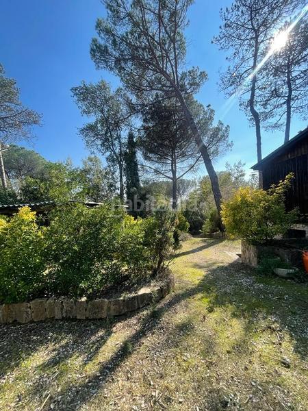 Foto a1ad532d-d750-4559-a32f-47ddc9dd63c5. Casa casita en medio de un bosque en Santa Coloma de Farners