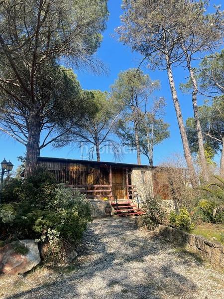 Foto a61b3198-e542-4eea-9275-72002f3822de. Casa casita en medio de un bosque en Santa Coloma de Farners