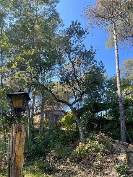 Foto a89a35a8-5517-47eb-bb8c-2f886928b31d. Casa casita en medio de un bosque en Santa Coloma de Farners