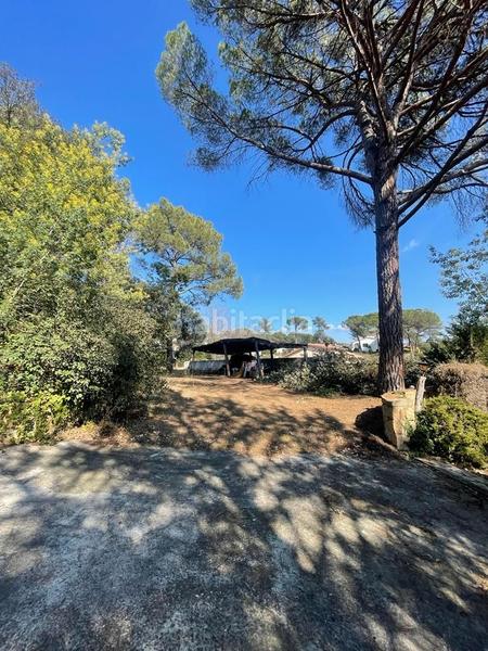 Foto bc7900f7-05ef-4ae1-8cd7-0da6474bc4e2. Casa casita en medio de un bosque en Santa Coloma de Farners