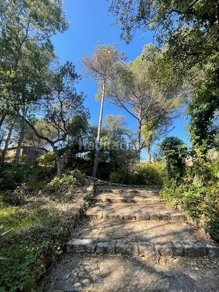 Foto c700a5cc-593f-46ec-a2c6-0b99db72a160. Casa casita en medio de un bosque en Santa Coloma de Farners