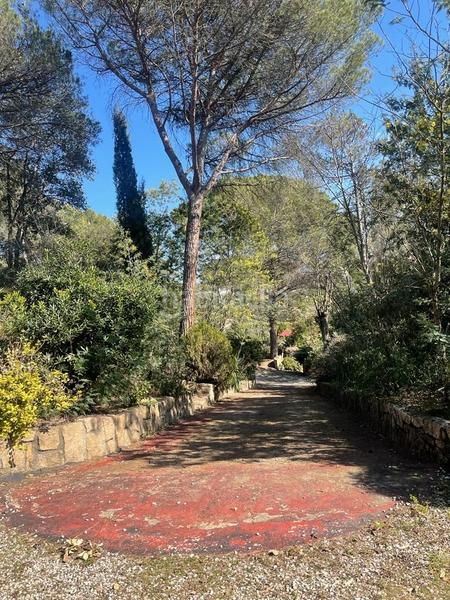 Foto cdfcb242-5817-4d88-b9b2-7ab7c0e95a38. Casa casita en medio de un bosque en Santa Coloma de Farners