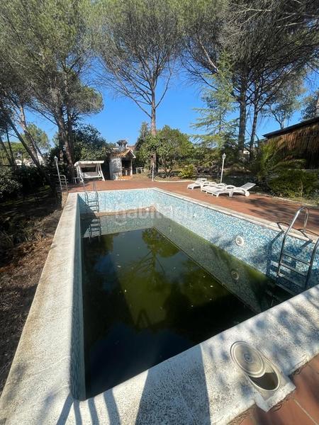 Foto d142193b-49bc-441e-afca-75f4d3070afb. Casa casita en medio de un bosque en Santa Coloma de Farners