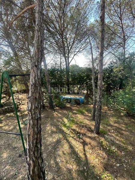 Foto d6d61685-61ee-49b0-a3b7-5bcecaa3b484. Casa casita en medio de un bosque en Santa Coloma de Farners