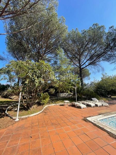 Foto e1988152-088f-42a5-ad55-8f6ea7e119cc. Casa casita en medio de un bosque en Santa Coloma de Farners