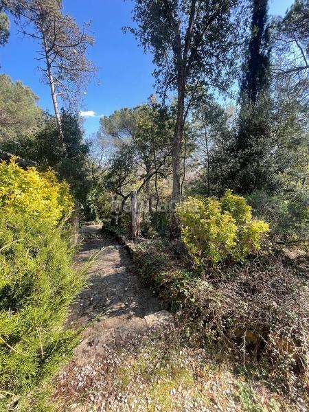 Foto ea7f6441-631a-414d-bff8-6332f12334a9. Casa casita en medio de un bosque en Santa Coloma de Farners