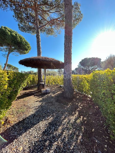 Foto 0dafe0bf-05f7-45ee-b603-950d9cf9b1db. Casa amb calefacció piscina a Santa Coloma de Farners