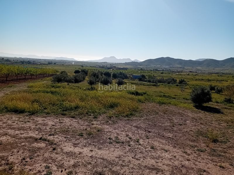 Foto e153ecb8-5d2a-40ab-a42f-de0a0e8fc9a7. Finca rústica a pasaje los marines 15a a Los Puertos Cartagena