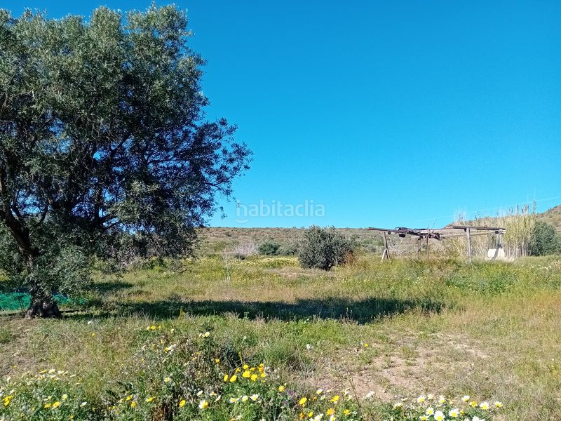 Foto fd9d8fc9-0989-4f41-bf96-1fa8a9951b3c. Finca rústica a pasaje los marines 15a a Los Puertos Cartagena