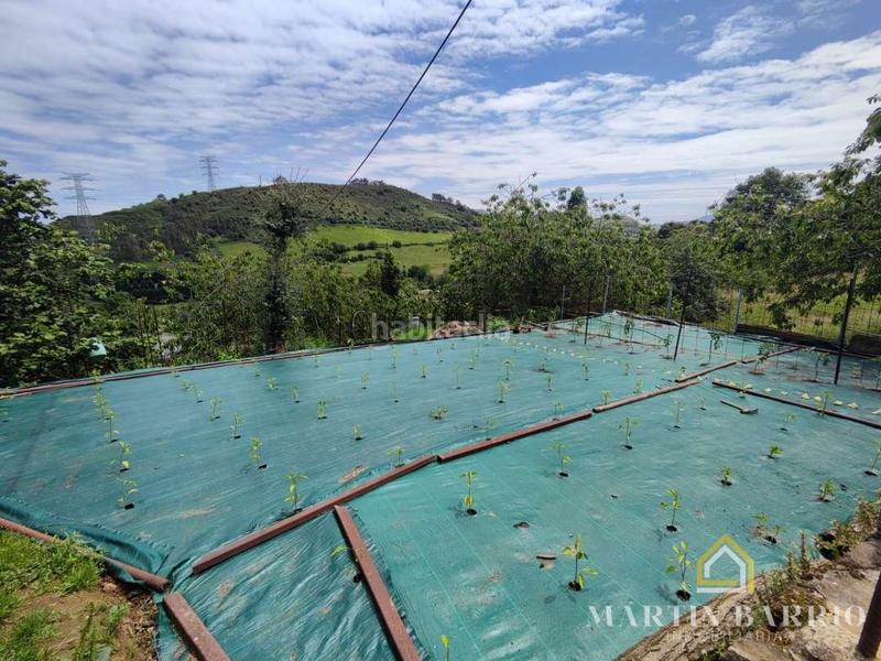 Foto 9abc981c-6655-4685-a896-2d9d70ff376d. Fondo rustico in Muskiz