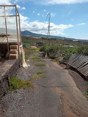 Finca rústica en Guía de Isora Interior. Gran finca rústica con casa antigua