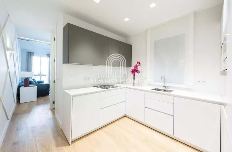 Foto a52234c8-d68e-4340-a333-9a2761ceb9a9. Alquiler piso increíble piso de lujo de 3 habitaciones con increíbles vistas a la ciudad.se trata de un piso recién reformado, muy luminoso con en Madrid