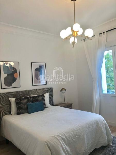 Foto ac3a8f7a-6763-4e78-8646-49110a841fdf. Lloguer pis a Ibiza Madrid