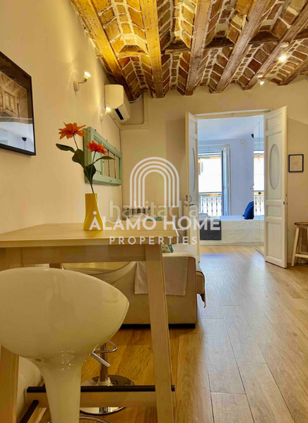 Foto 669337ea-c203-46fe-a5ea-3fb7c5ab802c. Location appartement dans Universidad-Malasaña Madrid