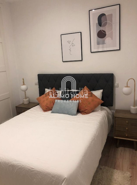 Foto 6410442d-8262-41d8-8fc9-7281d90d576d. Rent flat in Ibiza Madrid
