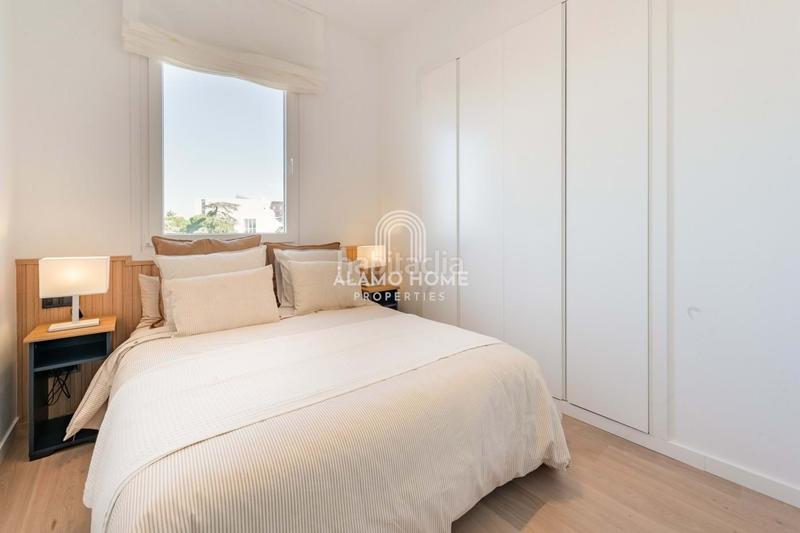 Foto 43cc4b1c-2a16-4779-8117-04d9b431ac84. Alquiler piso en Palacio Madrid