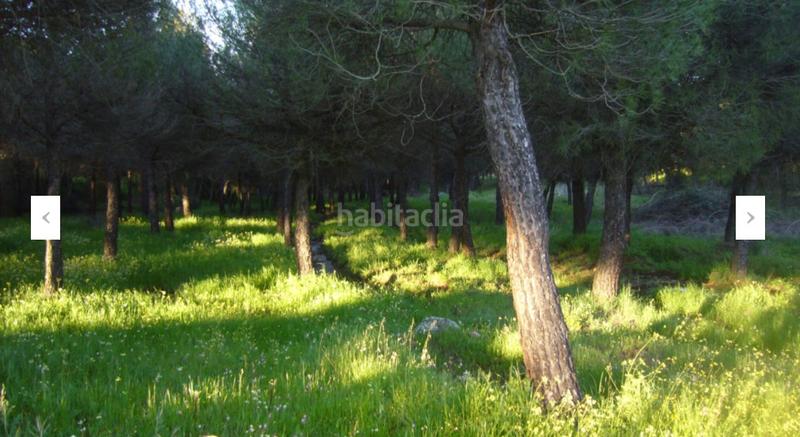 Foto ccf365a1-2c53-4f2d-ab28-8901104a16c2. Casa a n/a a Alcolea de Calatrava
