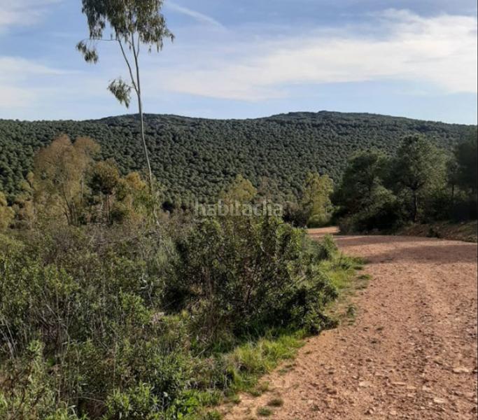 Foto f4cf8ab9-7ca0-44ee-93bc-b79f44d92c68. Casa a n/a a Alcolea de Calatrava