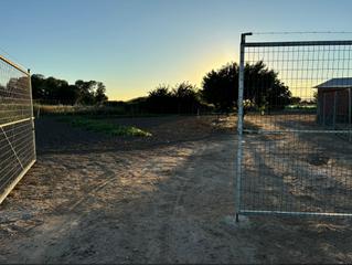 Finca rústica a Malagón. Huerta con frutales, lago, pozo y riego automático con placas so