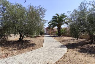 Masia a Porzuna. Excelente ocasión. parcela grande con una bonita casa