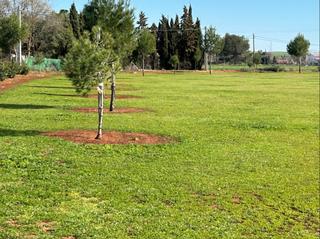 Finca rústica a Los Rosales. Terreno rústico en "la poblachuela" de ciudad real