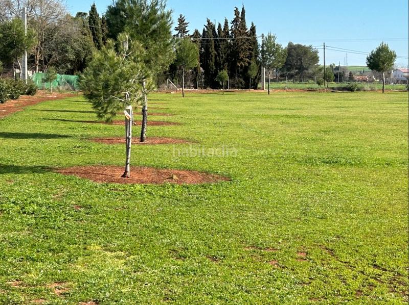 Foto 6550830d-8f6e-40eb-9aeb-40a9870cd382. Landgut in Los Rosales Ciudad Real