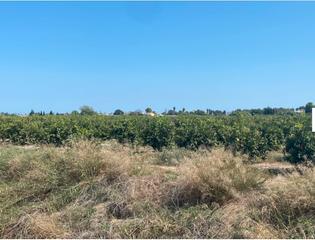 Finca rústica  Vía calles desconocidas 1. Estupenda finca en producción con naranjos de 5 años.