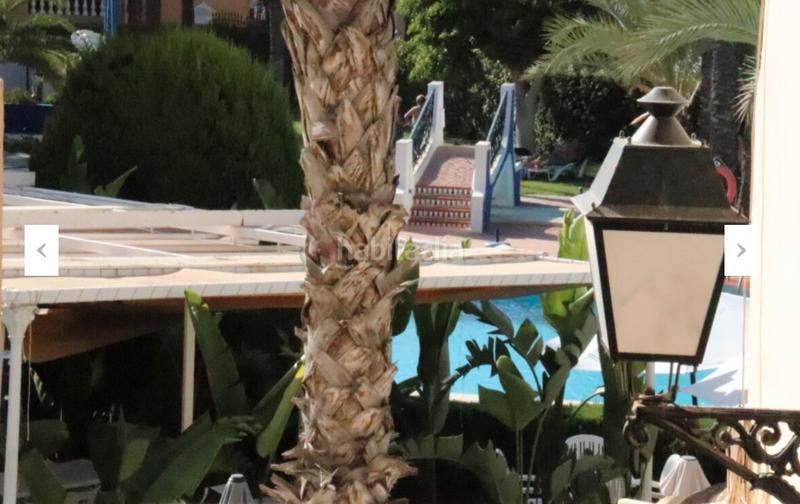 Foto 2c94e7c4-835c-43a3-9f5d-fa6d6d5d8a4b. Appartamento con parcheggio piscina in Zona Carrefour - Urbanizaciones Torrevieja