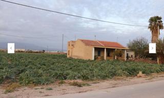 Finca rústica  N/a. Parcela con agua y luz, plantada de alcachofas y coliflor, con 2