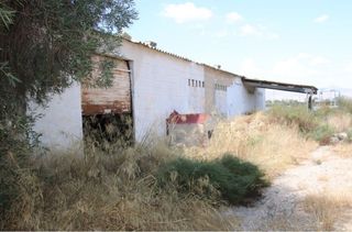 Fondo rustico  Los benitos. Terreno rústico con una casa antigua. tiene luz y agua de red.