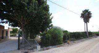 Finca rústica  N/a. Preciosa finca de limoneros y naranjos con una bonita casa de la