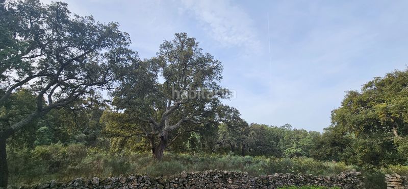 Foto 8df397ce-cfa1-4493-be88-a85065b1d130. Finca rústica a Perales del Puerto