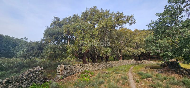 Foto ce88f2ca-ea92-447d-b285-1c5a736aa84d. Finca rústica a Perales del Puerto