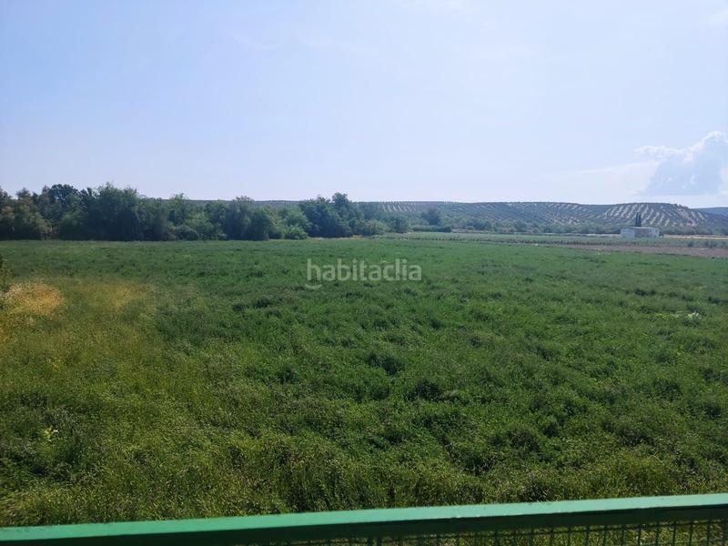 Foto 9f6ff8ab-4971-47c8-bc56-a9e71c9a3da0. Casale in Puente Tablas - Puente Nuevo - Cerro Molina Jaén