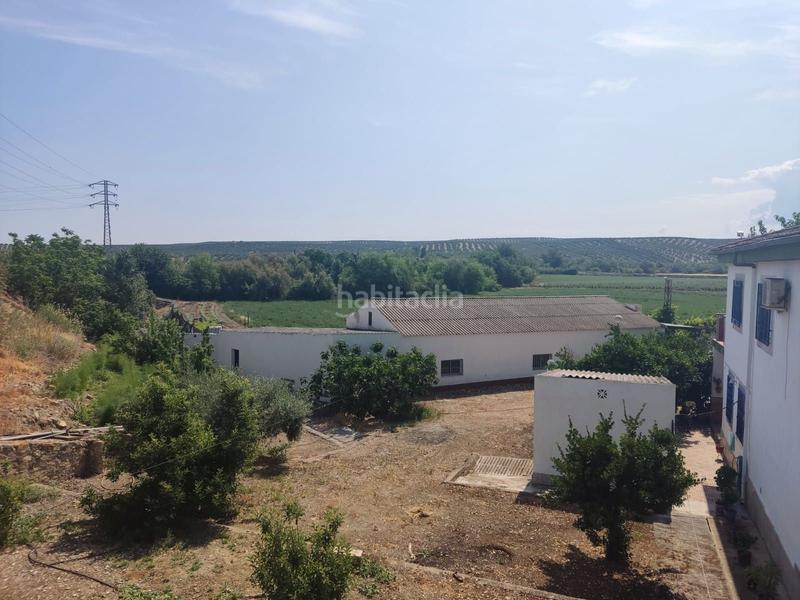 Foto cfe86611-9f56-4c04-8dab-cc4b67897f8d. Casale in Puente Tablas - Puente Nuevo - Cerro Molina Jaén