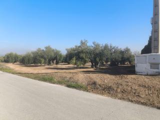 Terreny residencial a Mengíbar. Se vende gran solar junto al municipio de mengibar