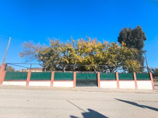 Landgut in A-6000 299