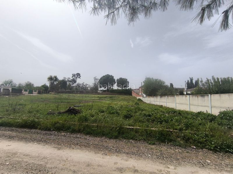 Foto c75acac7-4d1d-48d9-93d0-b745dfce6e9c. Finca rústica en n/a en Mengíbar