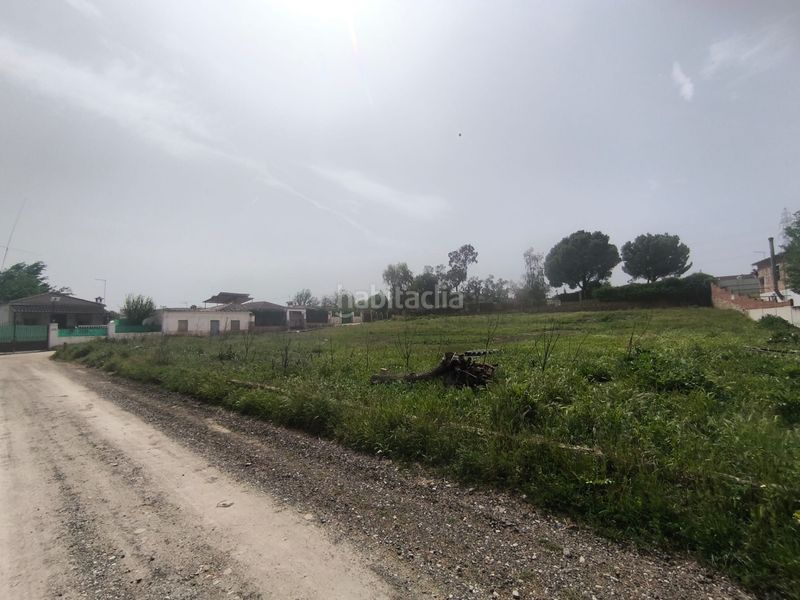 Foto e28e0ba0-940a-4e0c-8e8d-53cec531a5b5. Finca rústica en n/a en Mengíbar