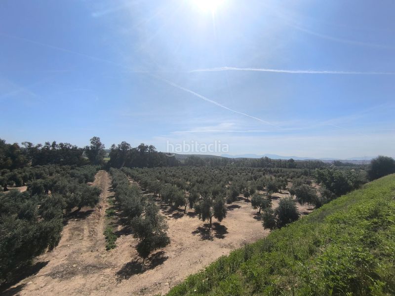 Foto 902b8736-d598-4d66-a60d-824f68933a53. Propriété dans Mengíbar