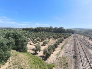 Rural plot in Mengíbar
