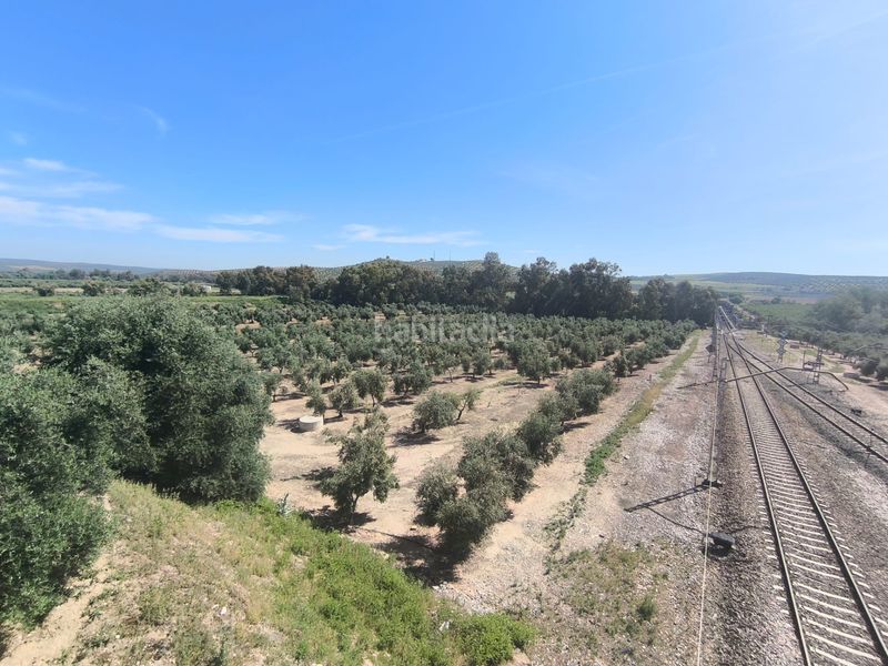 Foto 2c03c676-cfc4-45ce-89ad-7f0c02d415a1. Finca rústica a Mengíbar