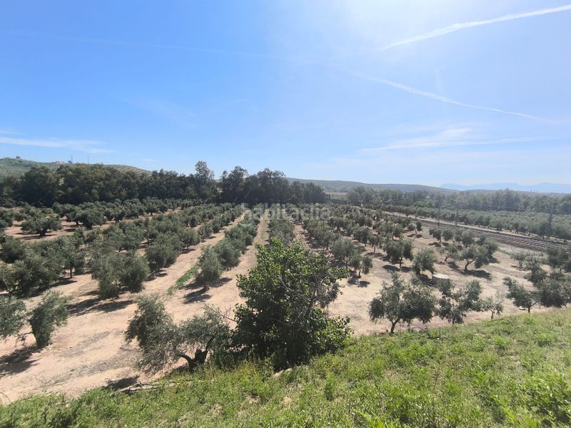 Foto 5b7daa34-202e-40e5-b131-745aa85a26b9. Finca rústica a Mengíbar