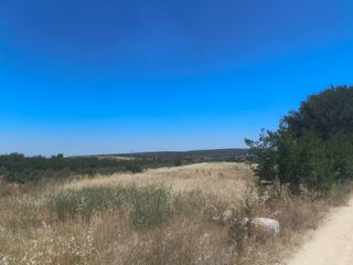 Landgut  Camino vega 8. Gmg inmobiliaria